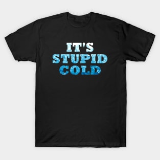 How Cold Is It? T-Shirt